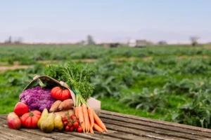 Épicerie bio Frontignan : vos produits locaux et frais au quotidien