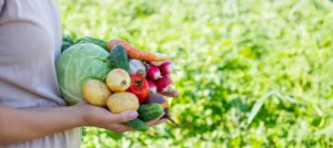 Épicerie bio à Frontignan : produits locaux et conseils bien-être chez Bio Mag Nature